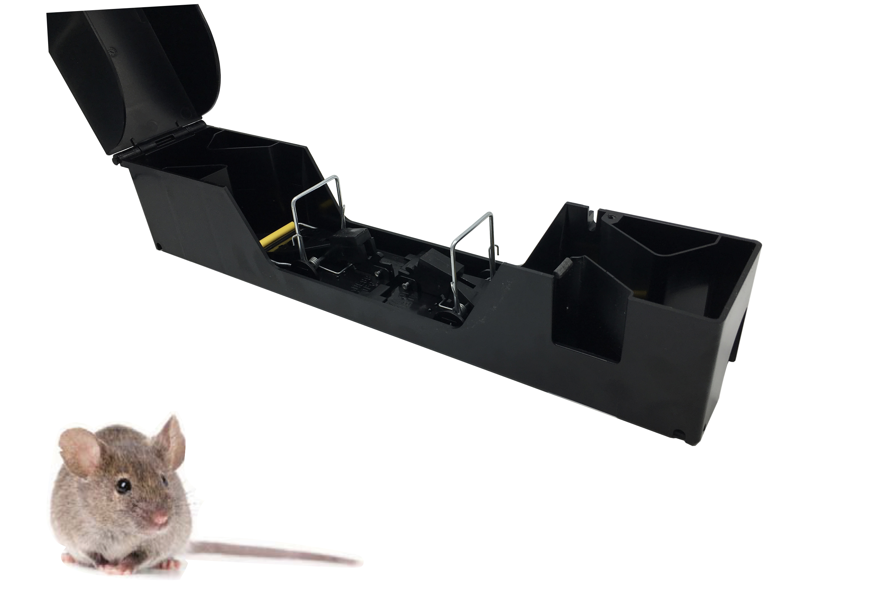 Mouse-Snaptrap-Tunnel and Mouse Snaptrap