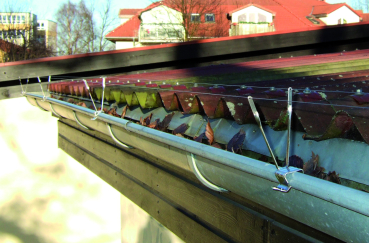 WIREX® DachrinnenKralle 2-reihig