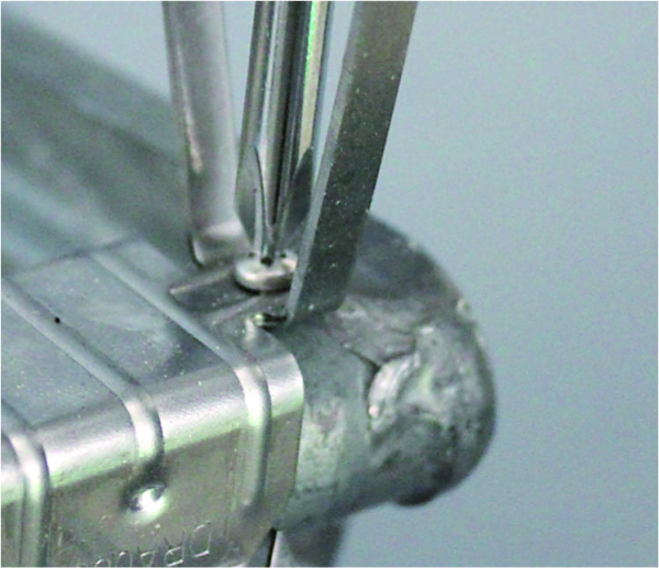 WIREX® DachrinnenKralle 2-reihig