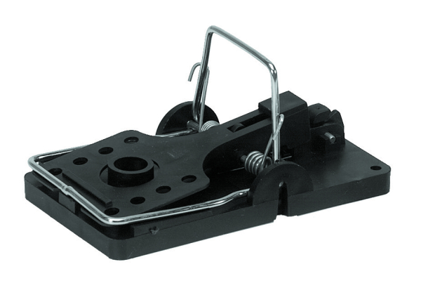 Kness Big Snap-E Rat BULK