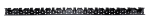 Fix-a-Net Netzschiene BLACK SMALL f. 19/19 Netze